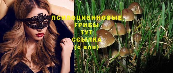 jwh Алзамай
