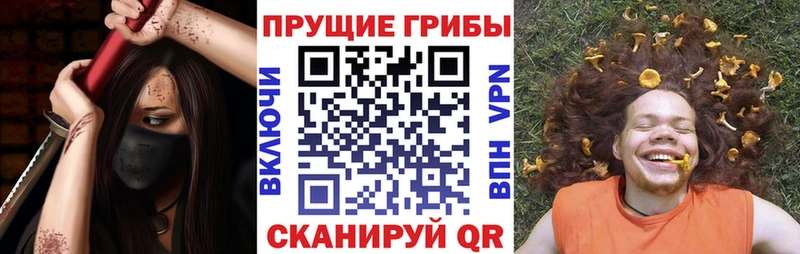 Галлюциногенные грибы Psilocybine cubensis  Камышин 