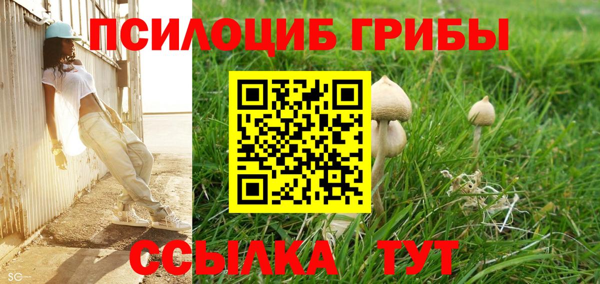 Галлюциногенные грибы прущие грибы Камышин