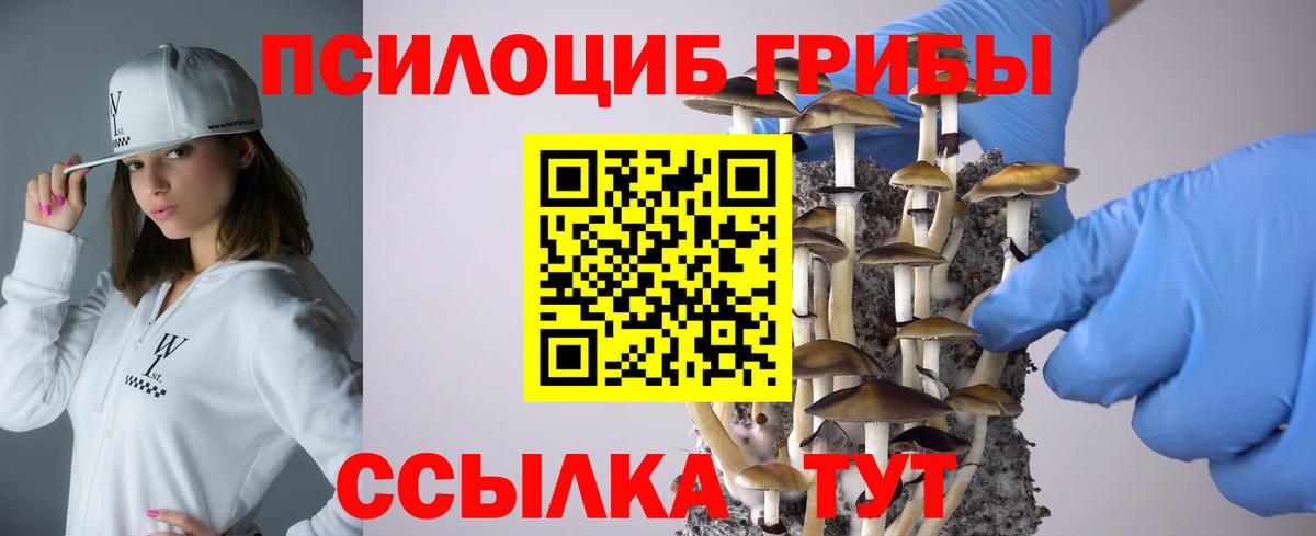 Камышин  Псилоцибиновые грибы прущие грибы  Вход с VPN 
